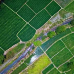 মিশ্র কৃষি: টেকসই উন্নয়নের একটি আধুনিক পদ্ধতি