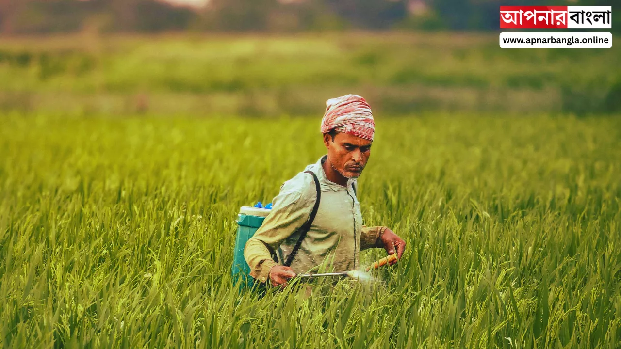 PM Kisan Beneficiary List 2025 Updated: প্রধানমন্ত্রী কৃষক সম্মান নিধি যোজনায় টাকা পাওয়া যাচ্ছে 6000 কিভাবে?