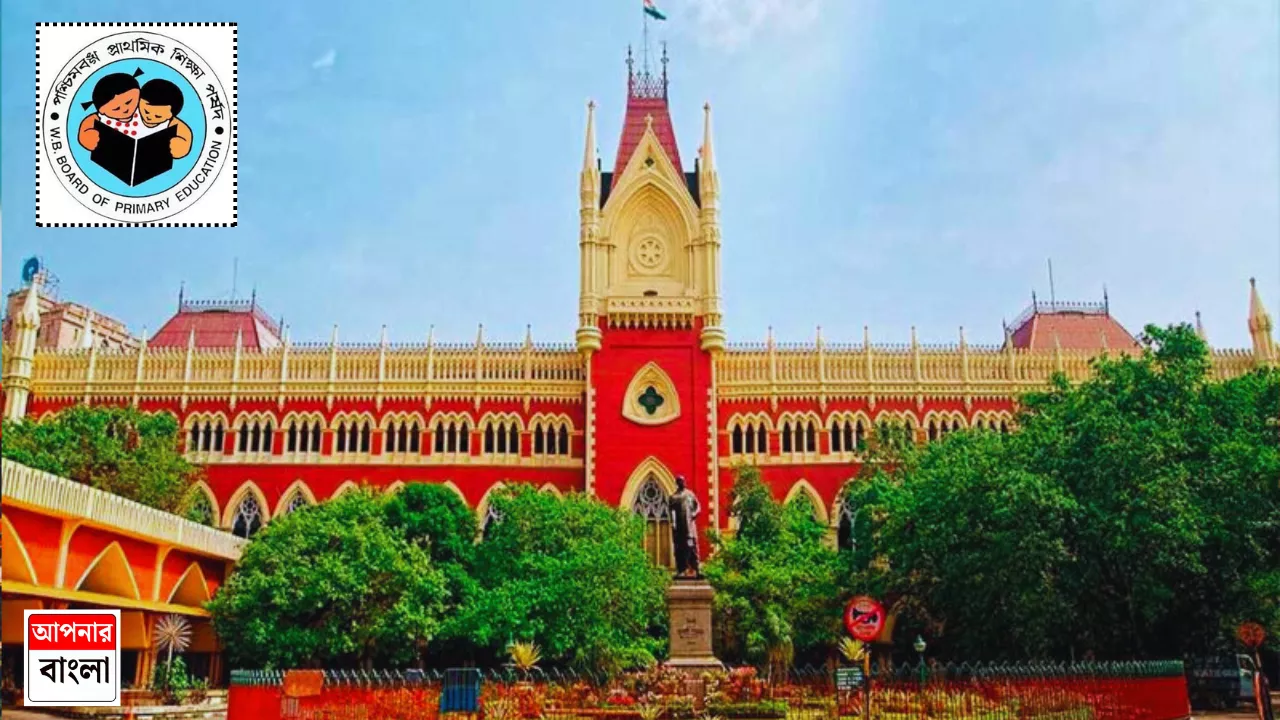 Primary TET Calcutta High Court: ‘আদালত মধ্যযুগের নাইট নয় যে হেলমেট পরে ঘুরবে’, সিঙ্গল বেঞ্চের কোন কোন বিচারে আপত্তি?